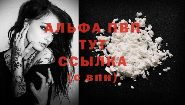 крисы Чекалин