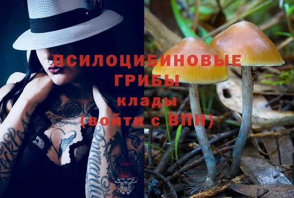 первитин Усмань