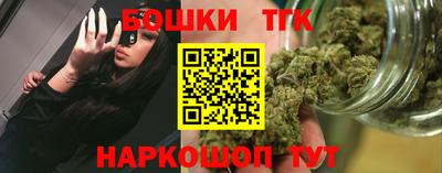 индика Абакан
