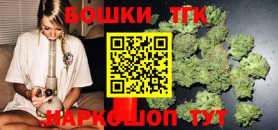 индика Абакан