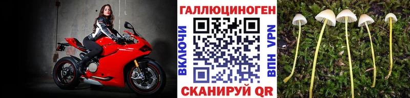 Галлюциногенные грибы Psilocybine cubensis  MEGA зеркало  даркнет наркотические препараты  Анапа 