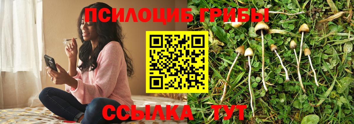 Псилоцибиновые грибы MAGIC MUSHROOMS Анапа