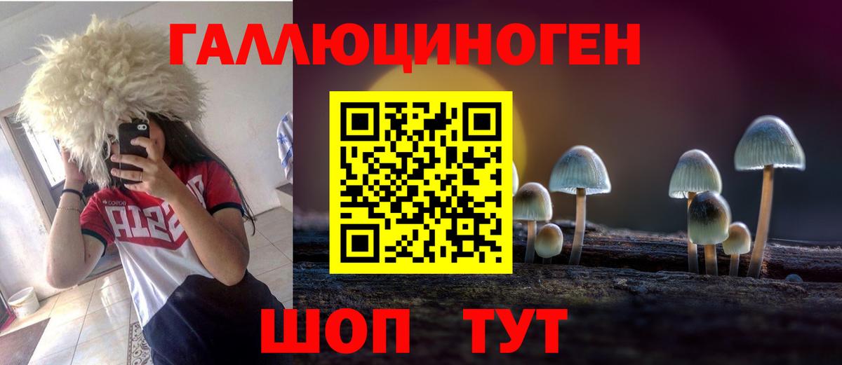 Псилоцибиновые грибы мицелий  Анапа 