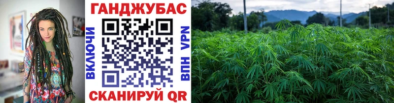Марихуана гибрид  Анапа 